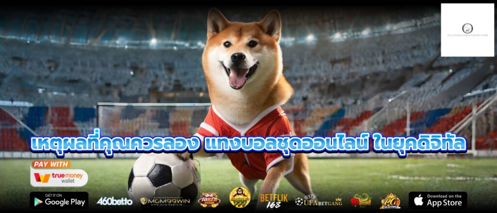 เหตุผลที่คุณควรลอง แทงบอลชุดออนไลน์ ในยุคดิจิทัล